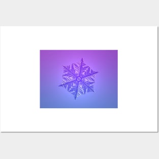 Violet Blue Fractal Snowflake Posters and Art